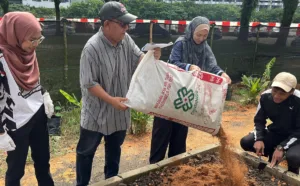 Penduduk menyediakan tapak semaian dengan baja kompos yang disediakan (3)