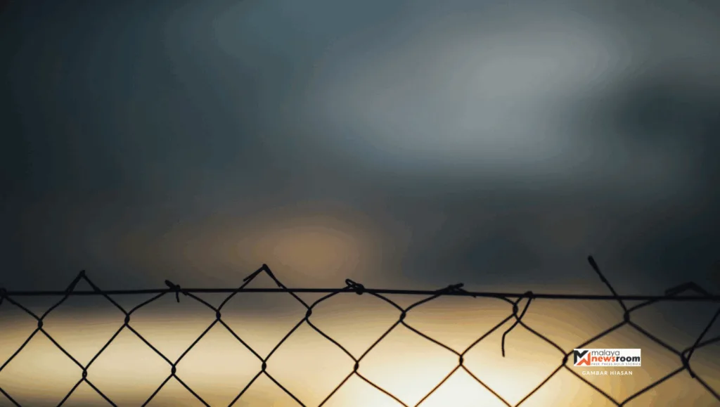 Feature Image