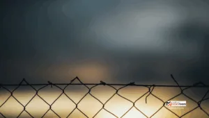 Feature Image