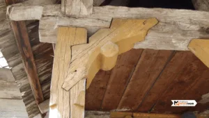Feature Image (1)