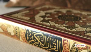 Feature Image (2)