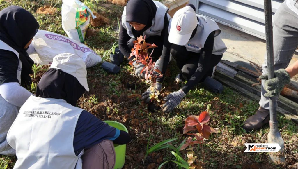 Feature Image (4)