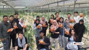 Mahasiswa UM dalami amalan pertanian baik di Cameron Highlands